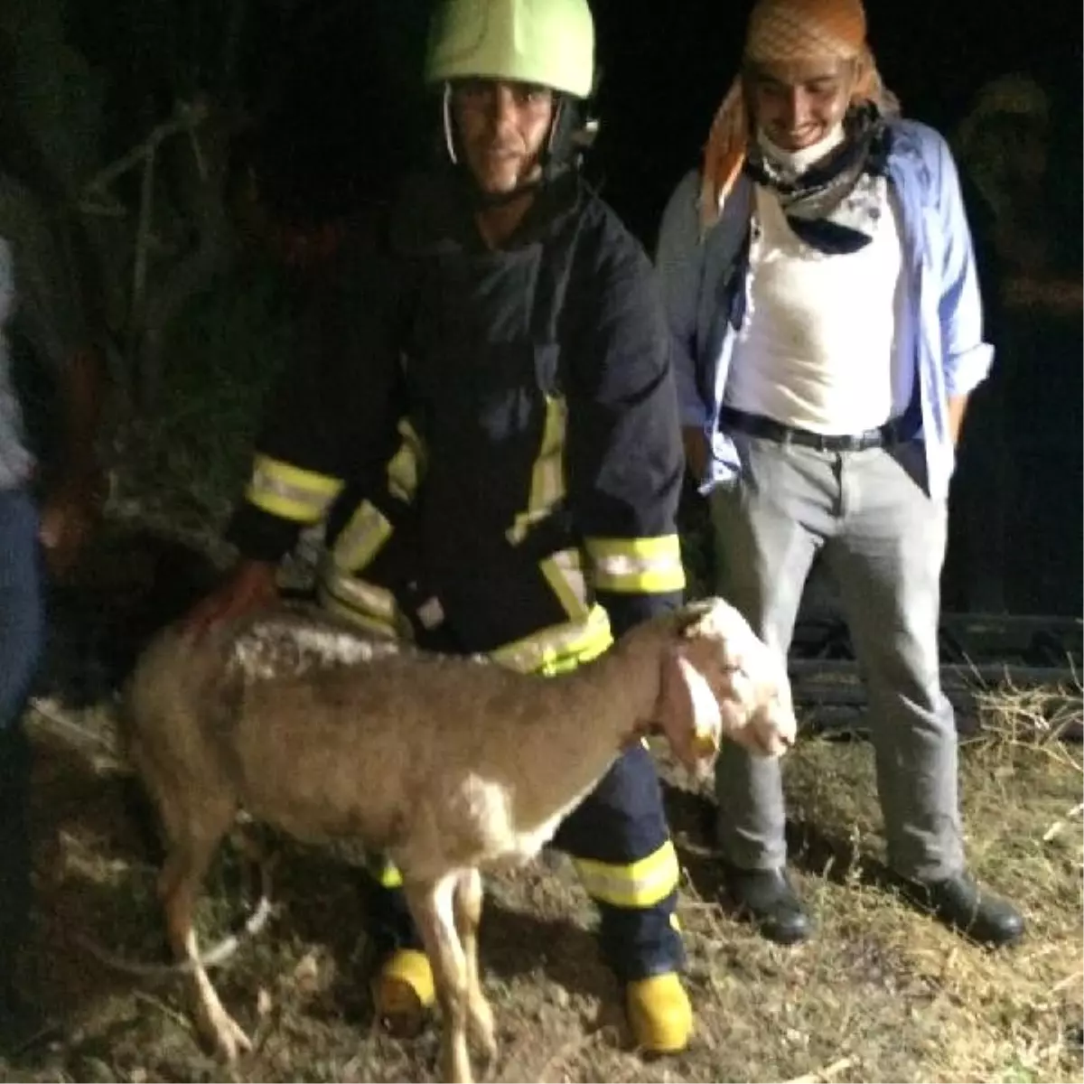 Su Kuyusuna Düşen Koyunu İtfaiye Kurtardı