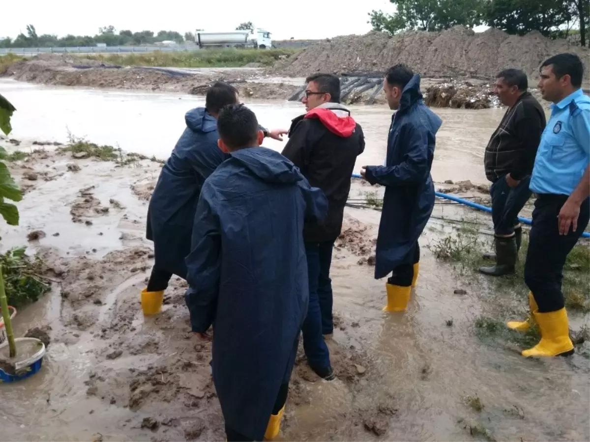 Herkes Çizmeyle, Kaymakam Kösele Ayakkabı İle