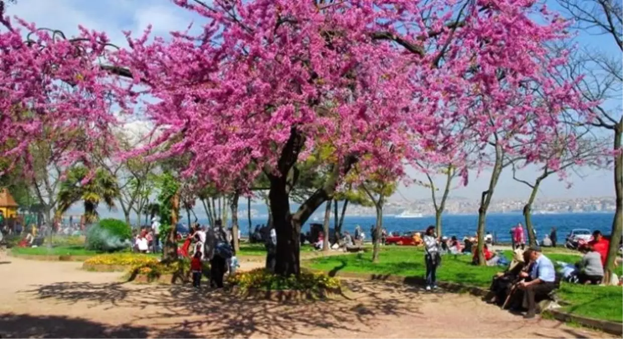 İstanbul\'da Sıcaklıklar Yeniden Artacak