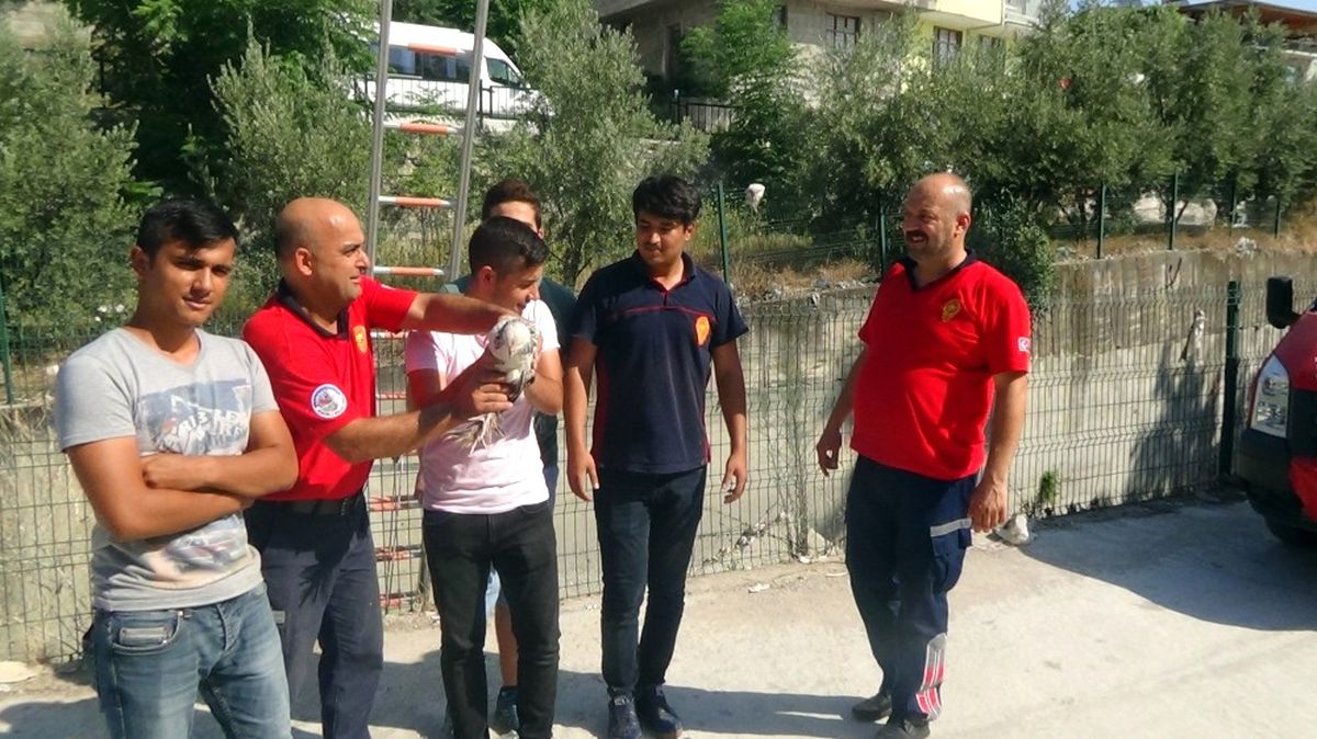 İtfaiyeden Tavuk Kurtarma Operasyonu