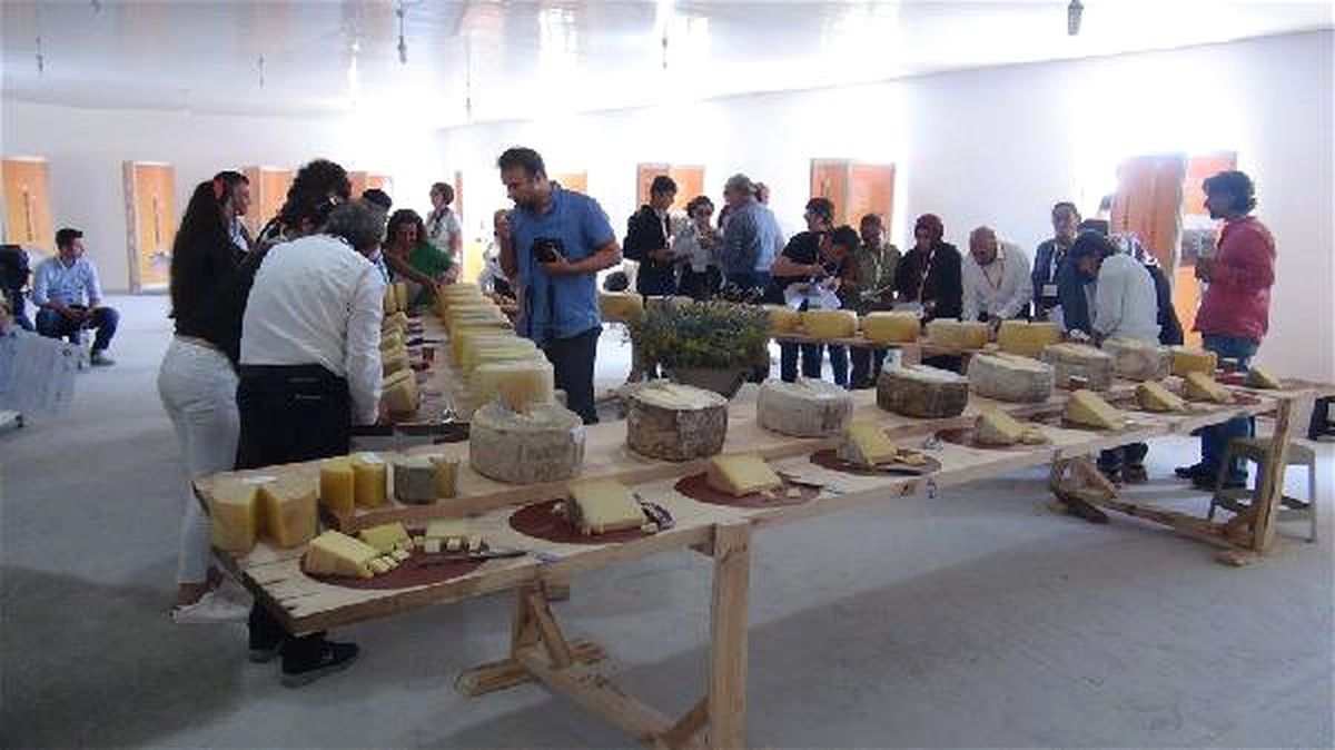 Kars\'ta Kaşarın Kalite Savaşı