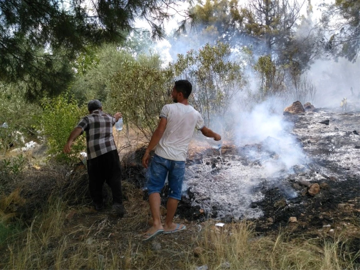 Kozan\'da Çıkan Orman Yangını Kısa Sürede Söndürüldü