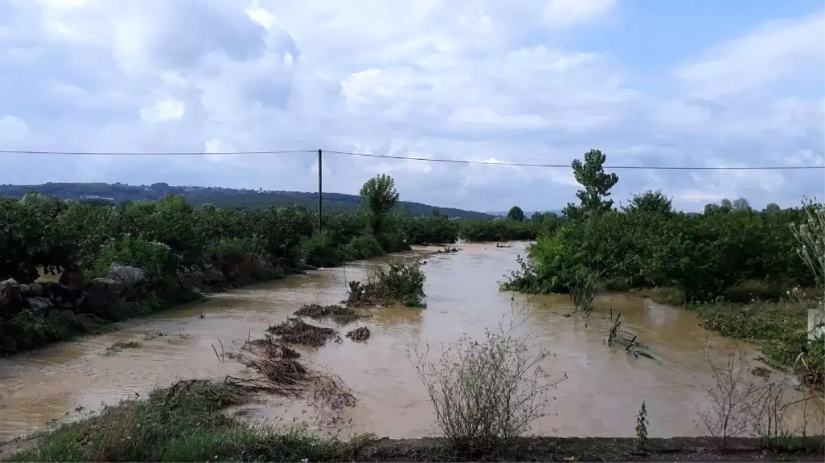 Sakarya\'da Tarım Arazileri Sular Altında Kaldı