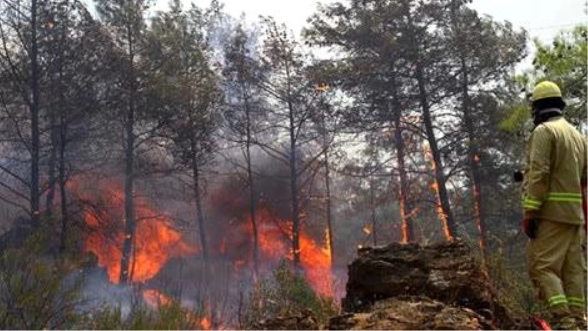 Sarıkamış\'ta 3 Hektarlık Ormanlık Alan Yandı