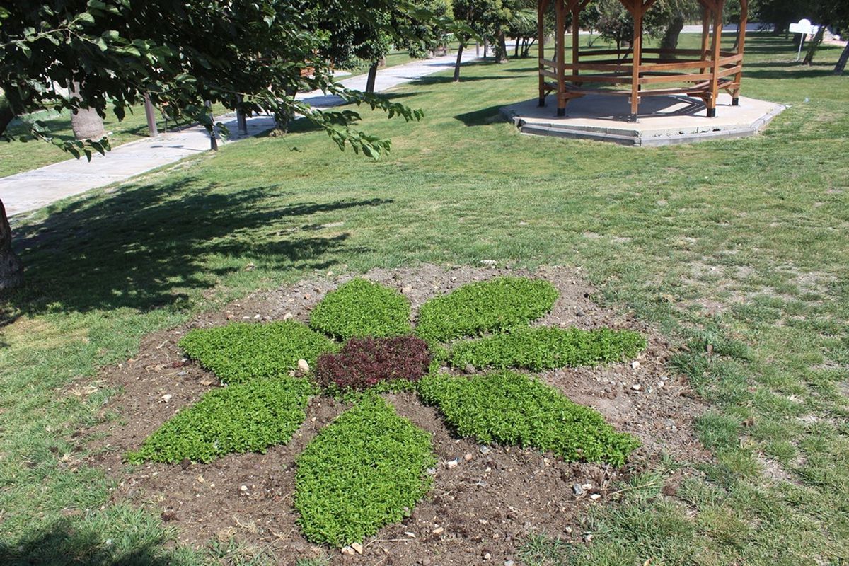 Sevgi Parkı HBB İle Rengârenk