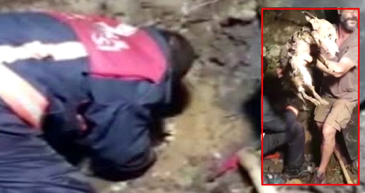 Su Borusuna Sıkışan 'Kuyruk' 5 Saat Sonra Kurtarıldı, Mahalleli 'Oh' Dedi