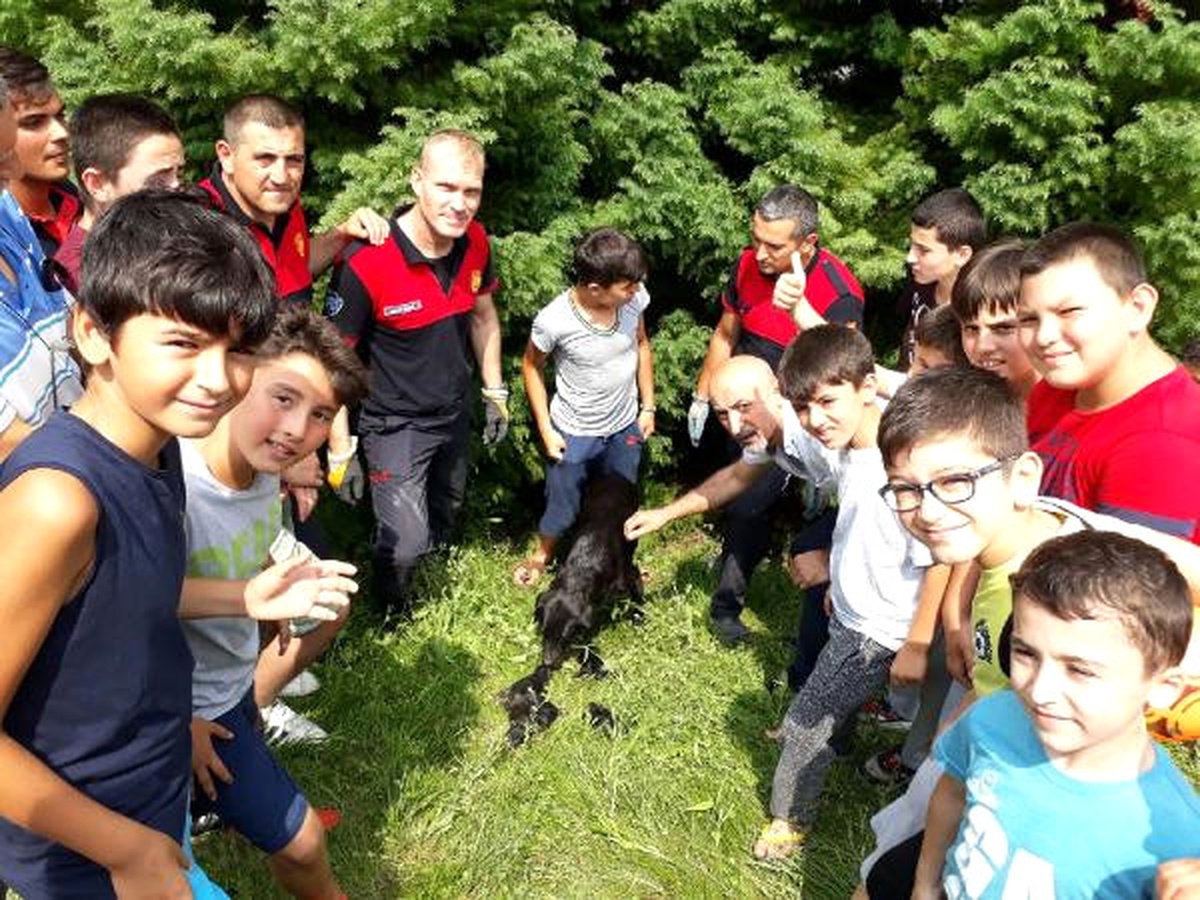 Su Borusunda Mahsur Kalan Yavru Köpekleri İtfaiye Kurtardı