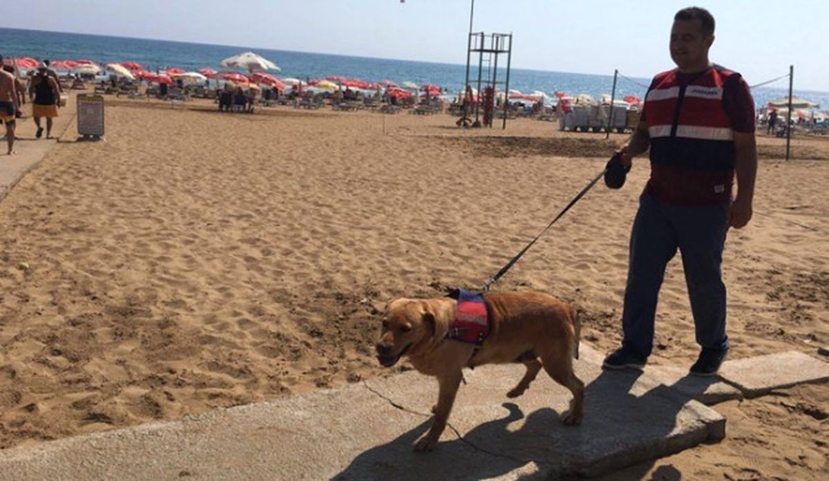 Antalya\'da Plajlarda Güvenlik Önlemi Artırıldı