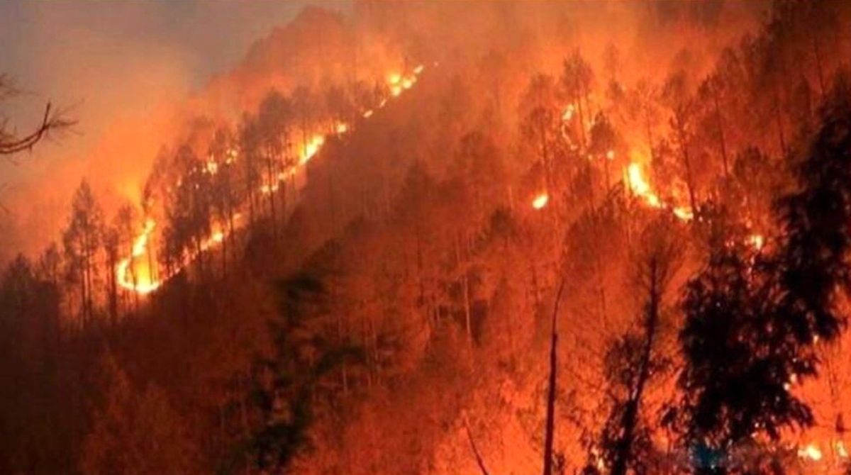 Artvin\'de Orman Yangını