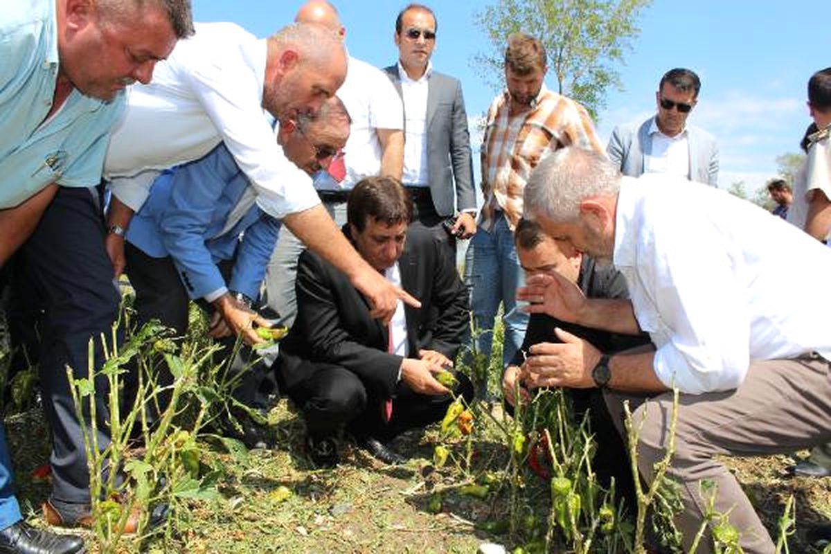 Bursa\'da Afetzede Çiftçiler Khk Çıkarılmasını İstedi