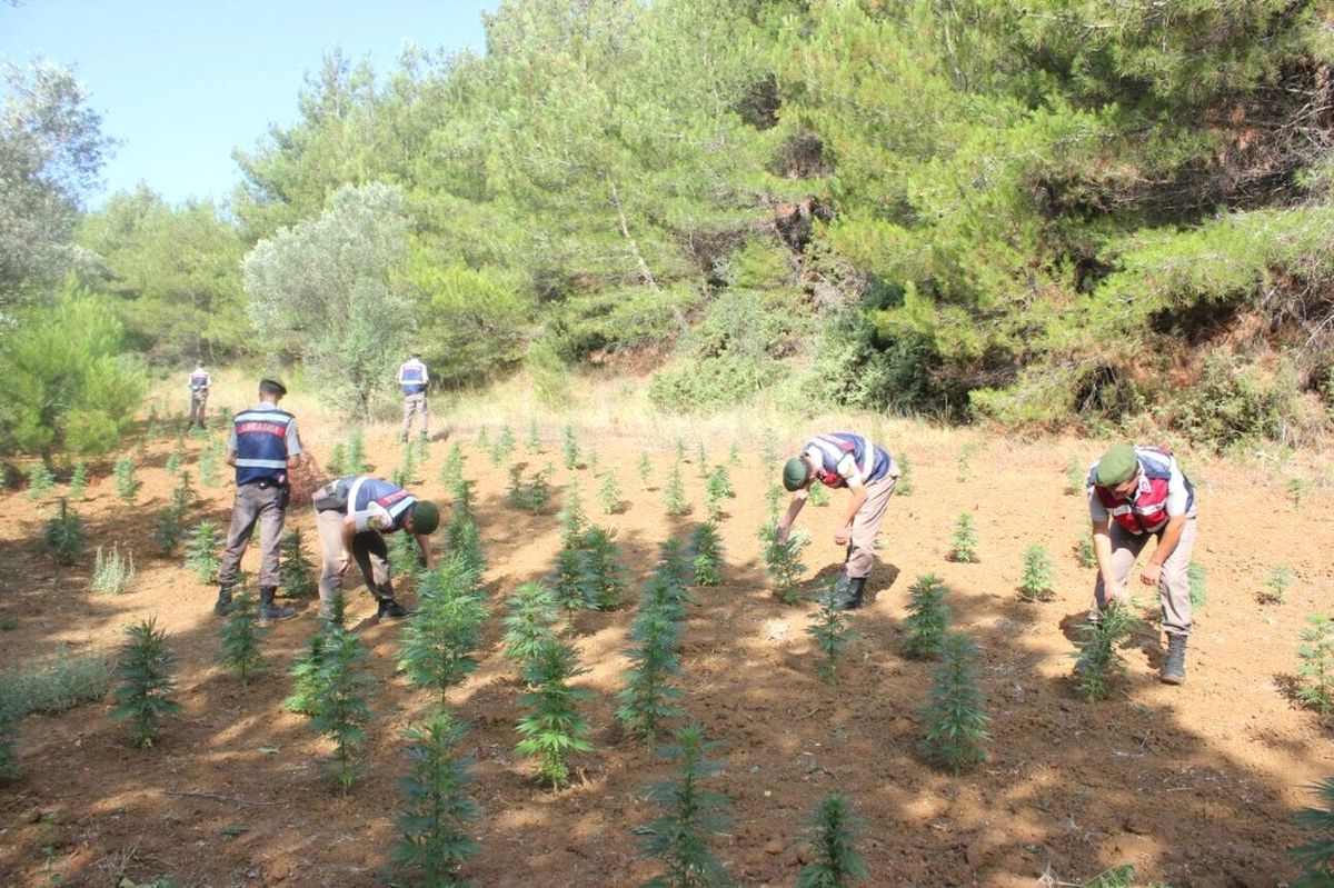 Çanakkale\'de Uyuşturucu Operasyonu