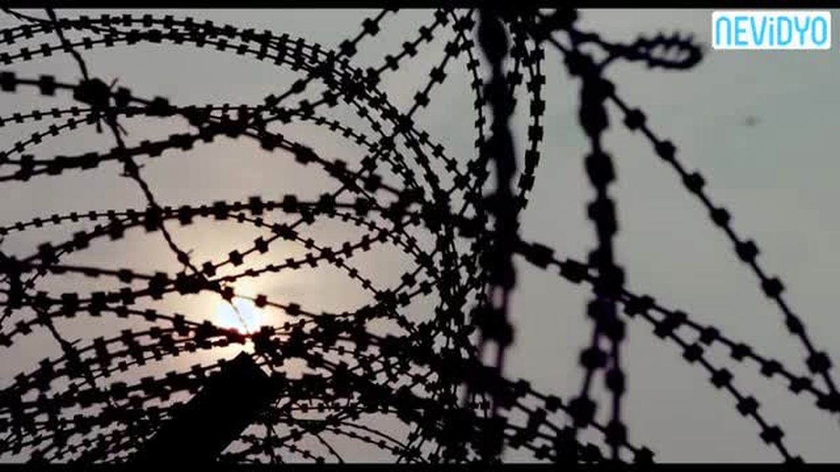 Çırak Fragmanı İzle