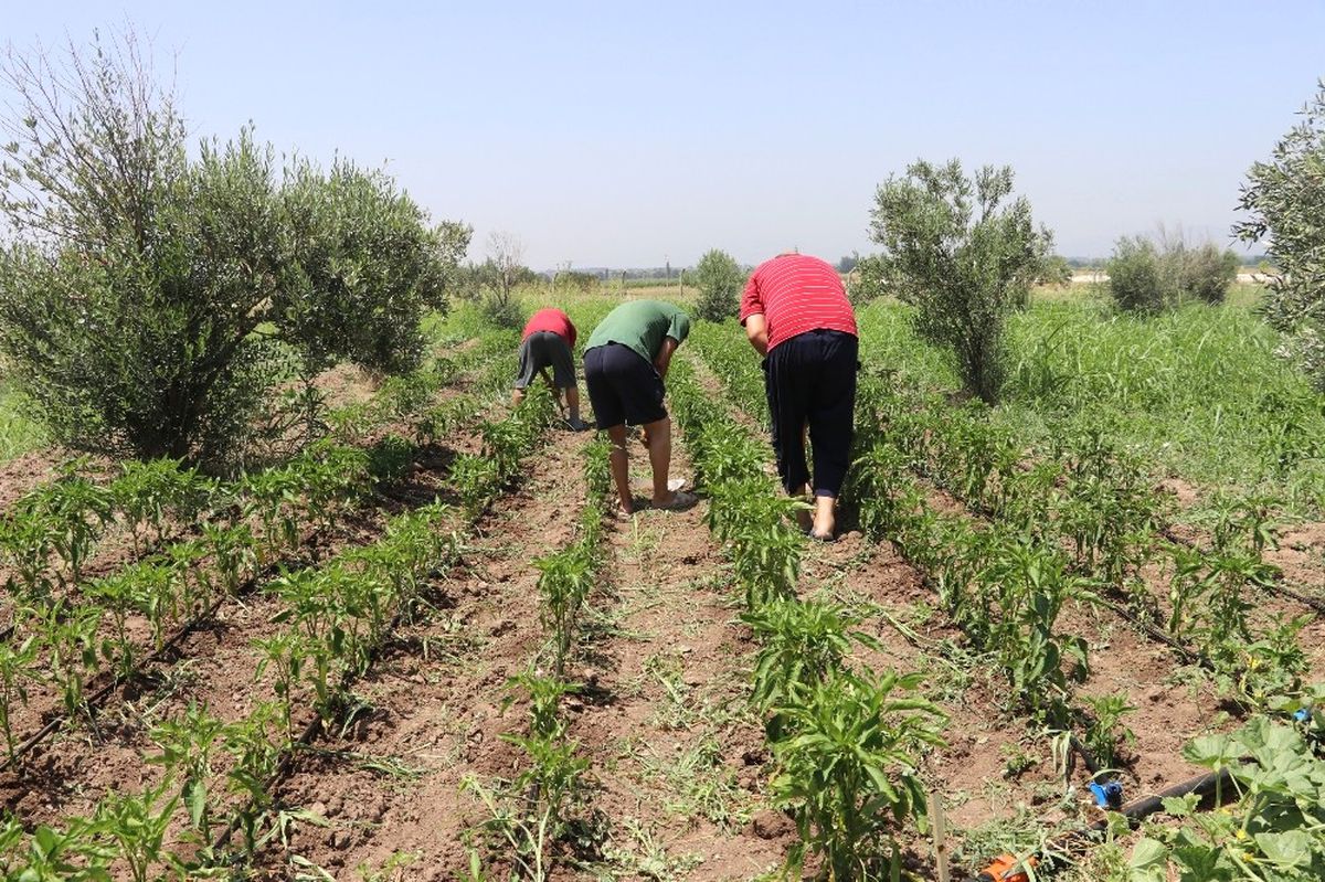 Hobi Bahçeleri ve Kurslarla Ruhsal Sorunlarını Aşıyorlar