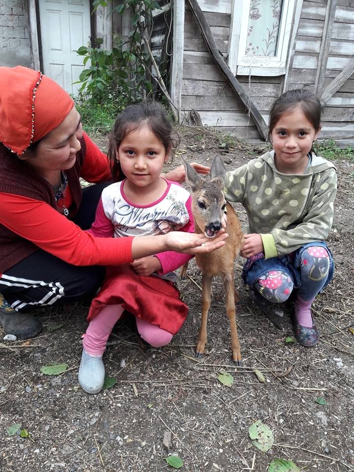 İki Kız Kardeş Yavru Karacayı Köpeklerin Elinden Aldı