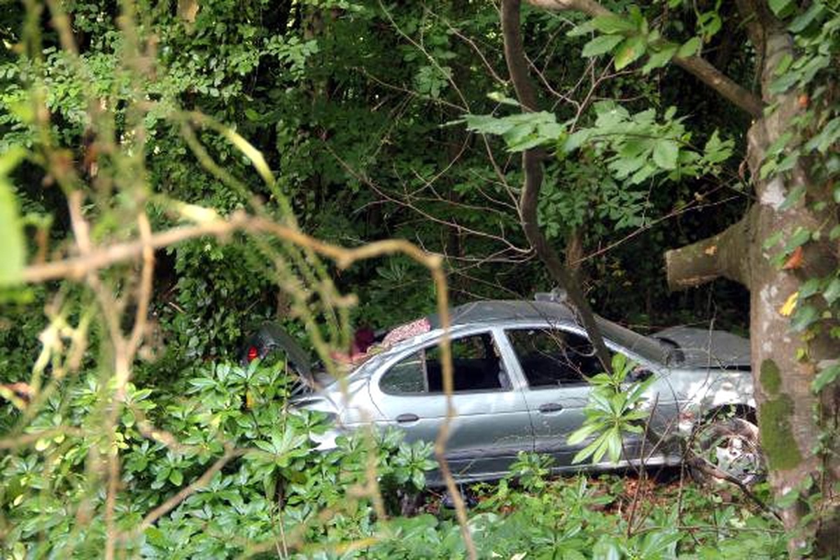 Ormanlık Alana Uçan Otomobilin Sürücüsü Yaralandı