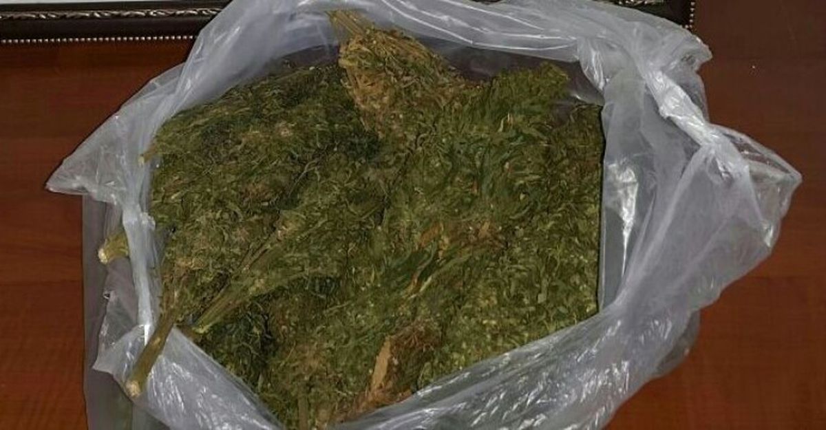 Otobüs Yolcusunun Valizinden Uyuşturucu Çıktı