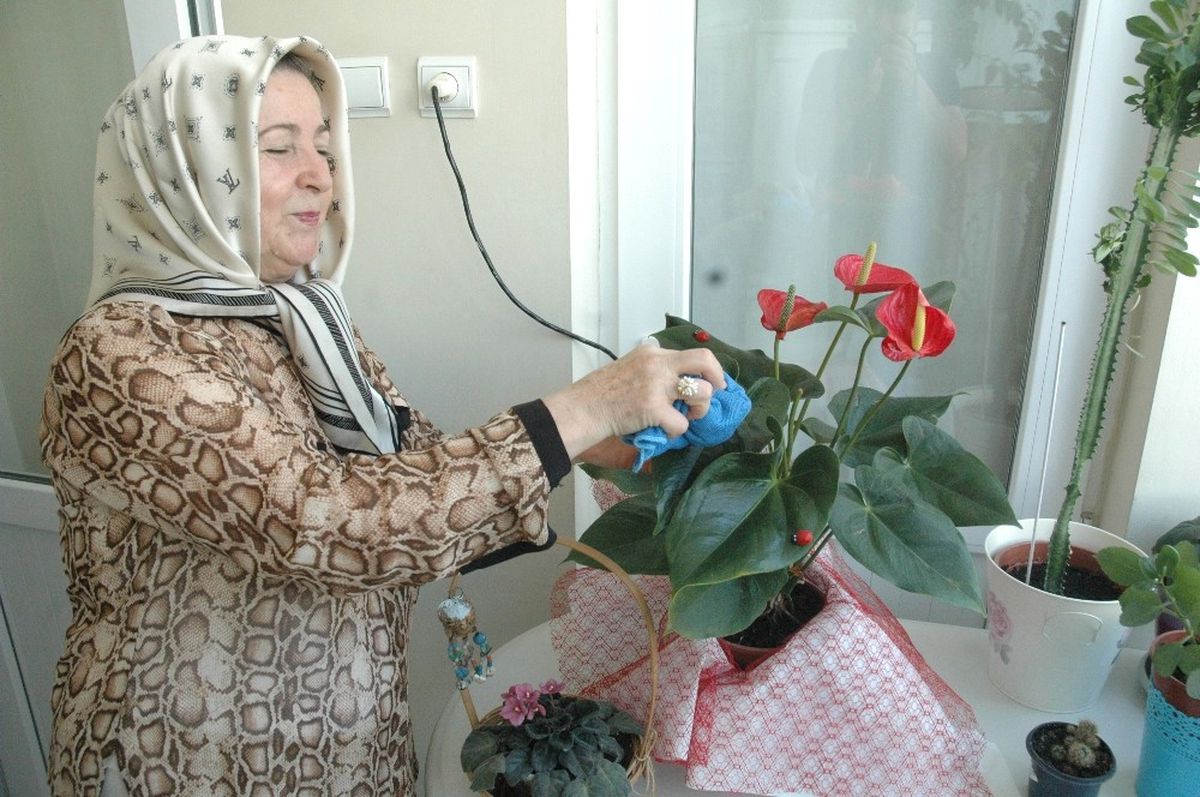 Sıcak Havada Sulanan Çiçekler Kuruyor