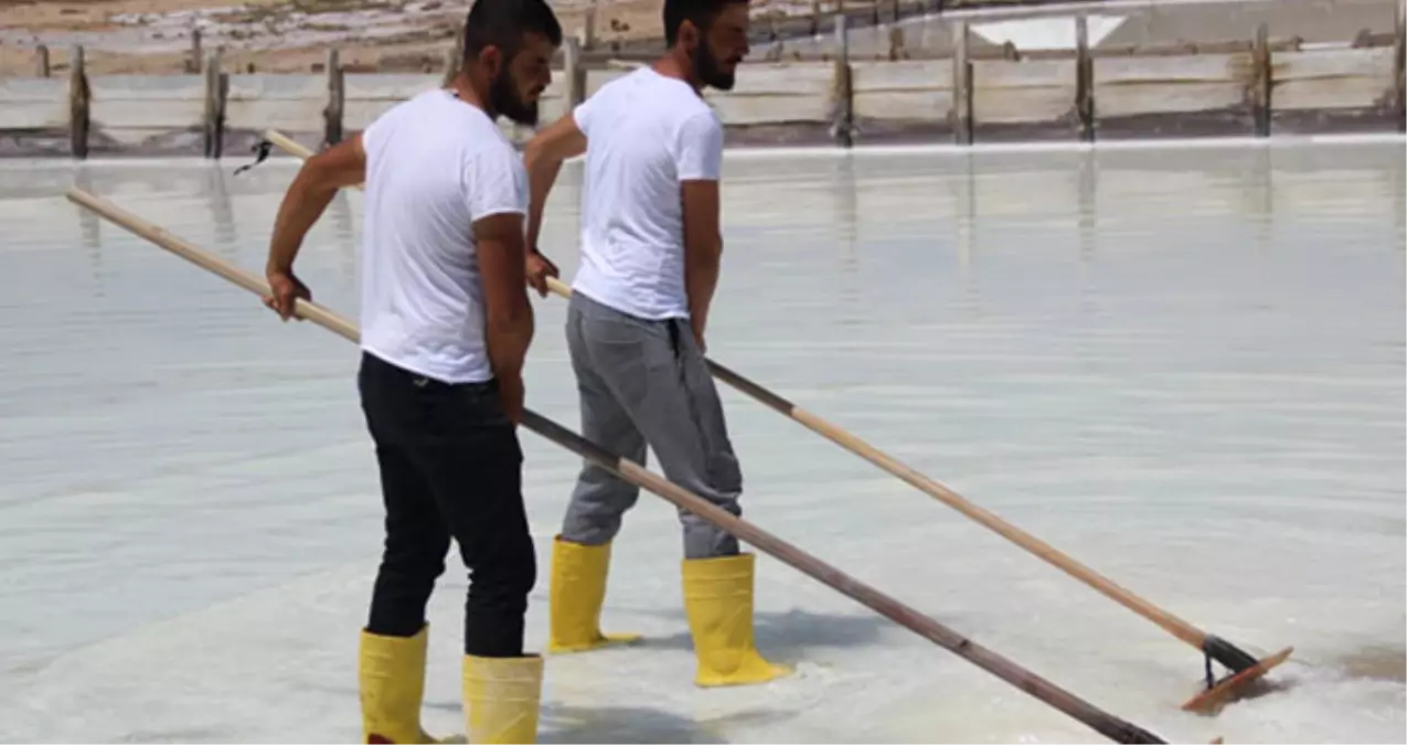 Sivas\'tan İspanya\'ya Doğal Kaynak Tuzu Satıyor