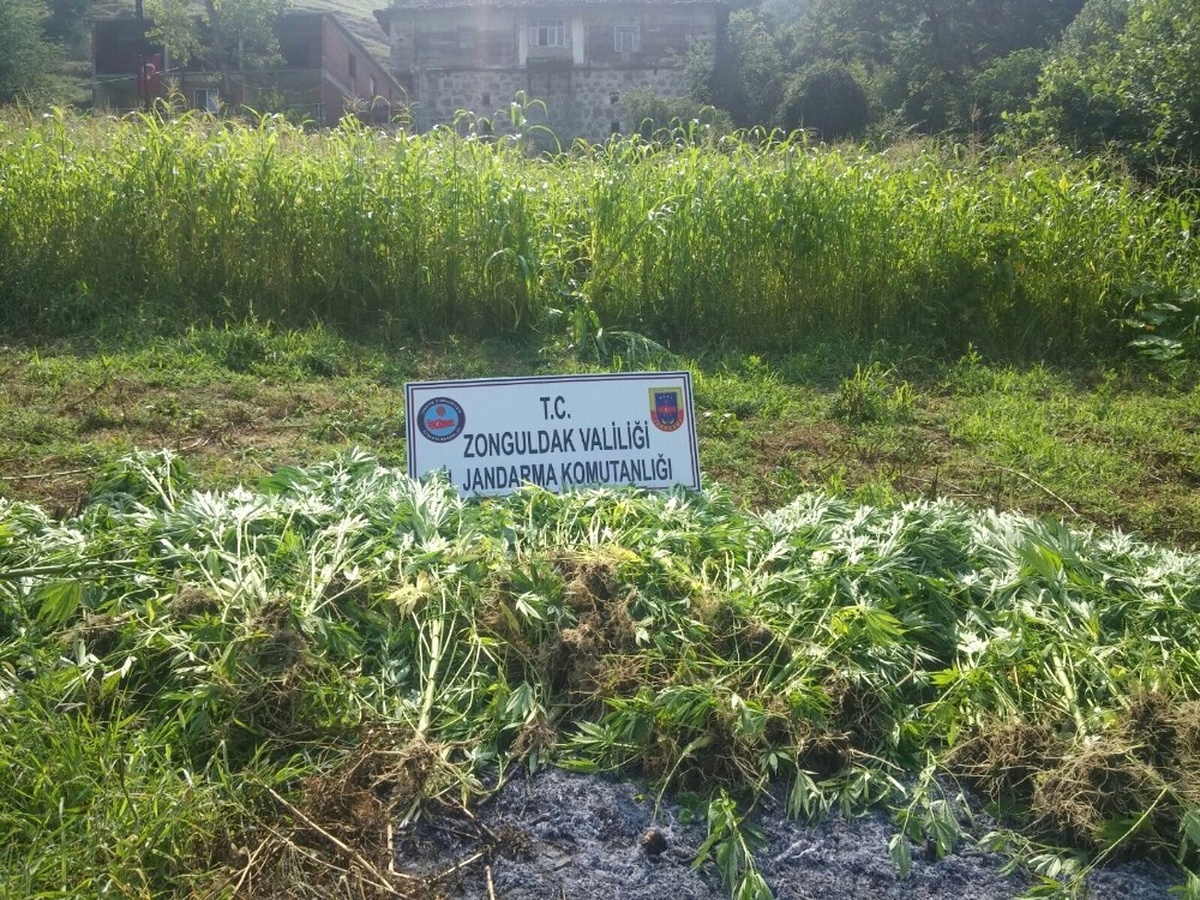 Zonguldak\'ta Uyuşturucu Operasyonu; 2 Gözaltı