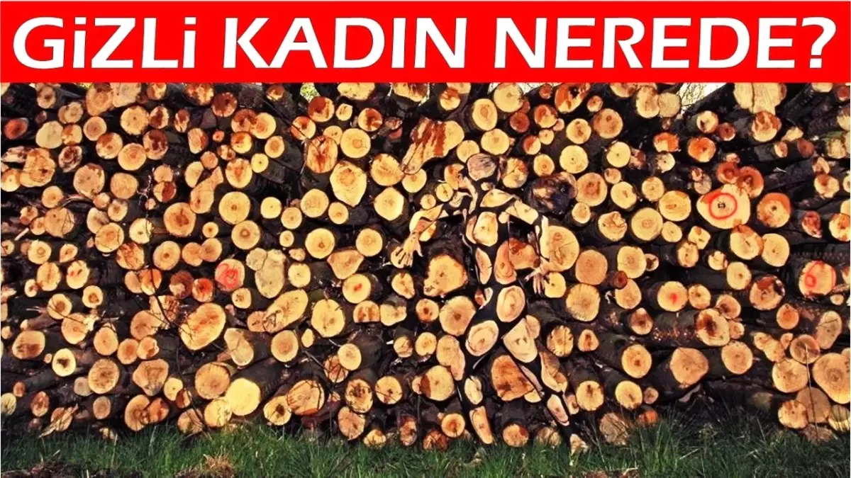 Resimdeki Kadını 15 Saniyede Bulabilirsen Gerçekten Dahisin!