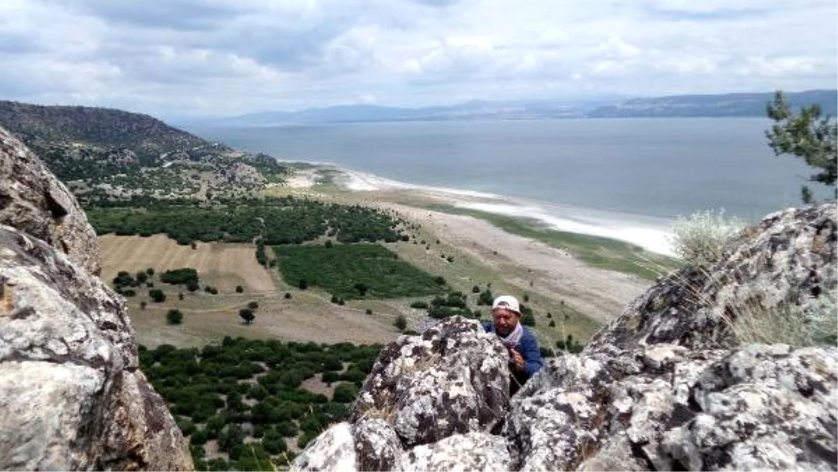 Burdur\'da Kuzgunlar Üremeye Başladı