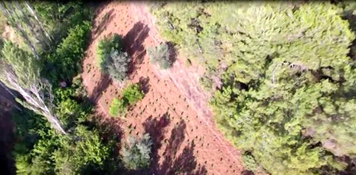 Çanakkale\'de Drone Destekli Hintkeneviri Operasyonu
