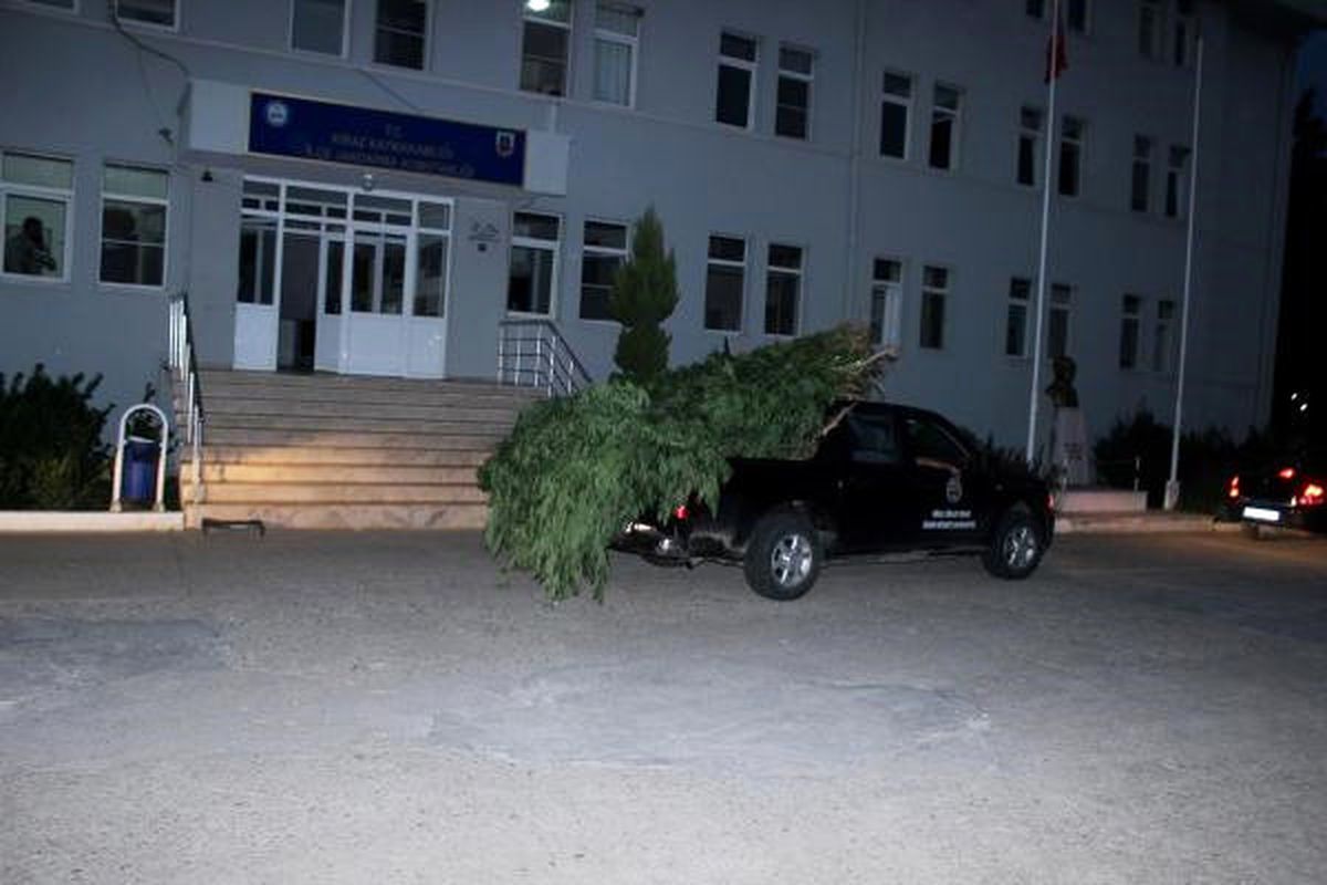 İzmir\'de 10 Bin Kök Hint Keneviri Ele Geçirildi
