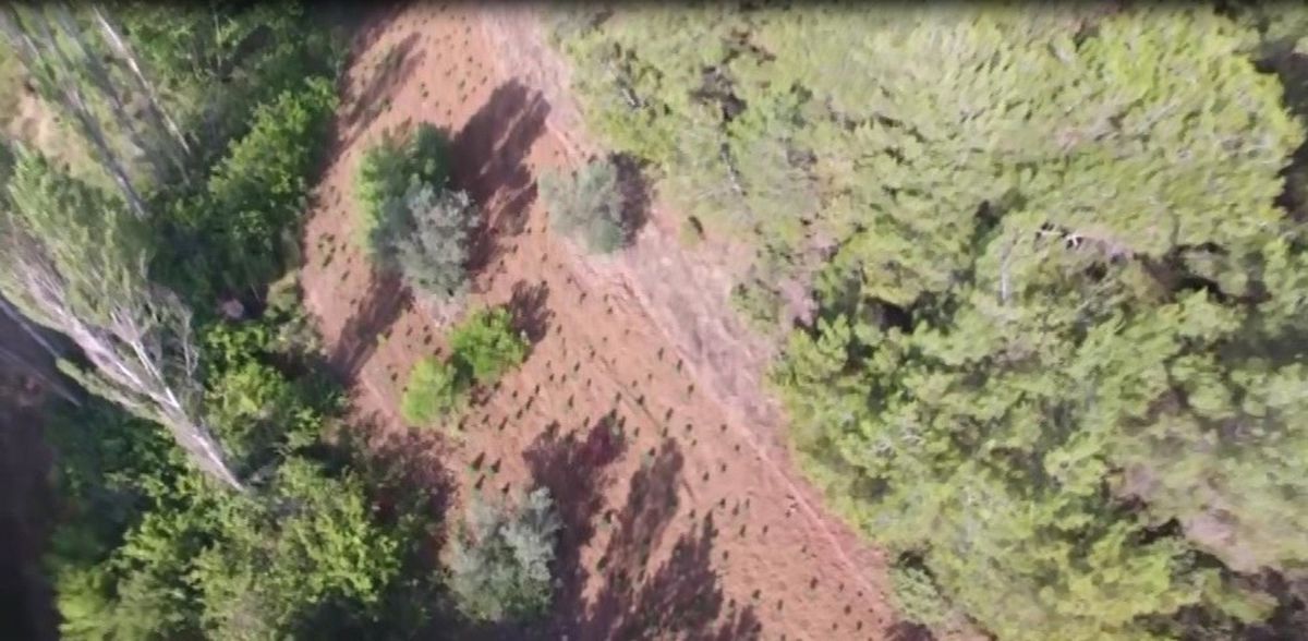 Jandarmadan Drone\'lu Uyuşturucu Operasyonu