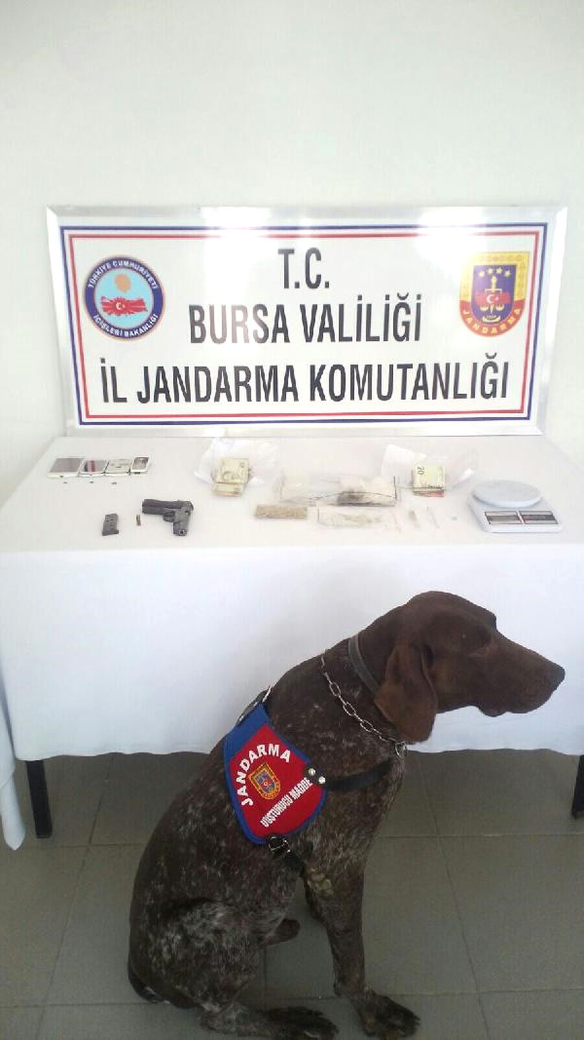 Varis\' Zehir Tacirlerine Geçit Vermedi