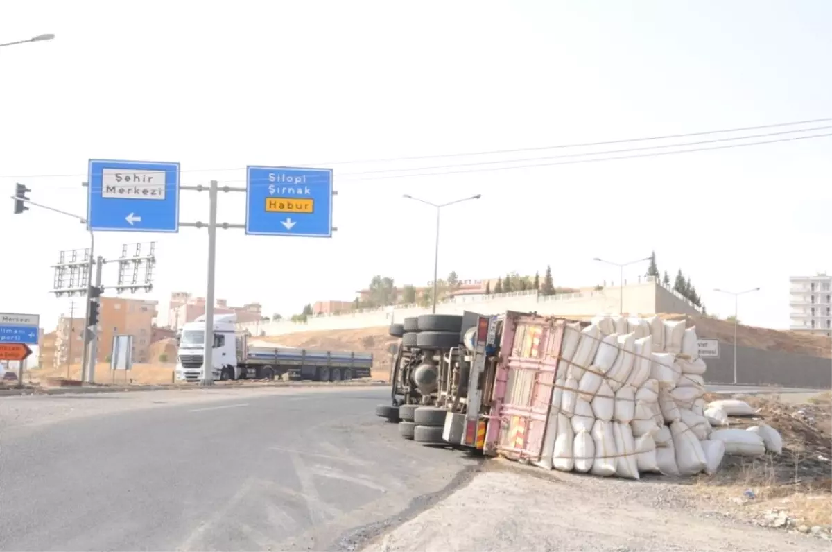 Cizre\'de Virajı Alamayan Saman Yüklü Kamyon Kaza Yaptı