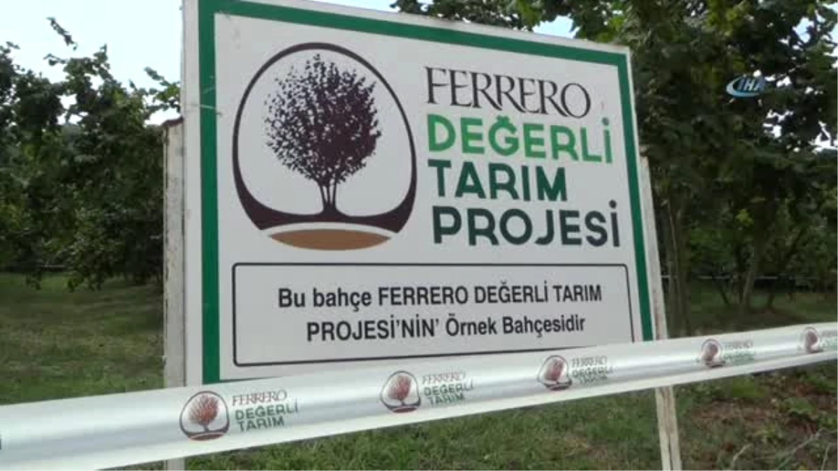 Ferrero Fındık Çiftçileri Bilgilendirmeye Devam Ediyor