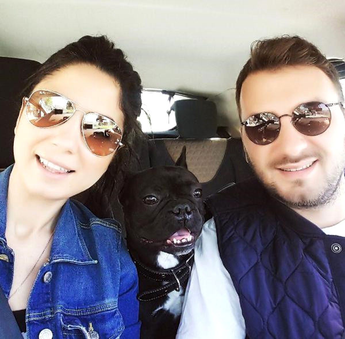 Kaybolan Köpeğini El İlanı ile Arıyor