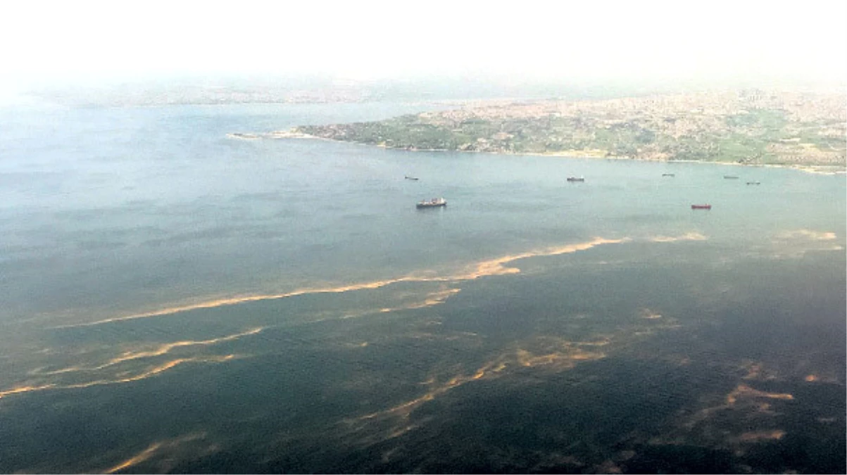 Marmara Denizi\'nde Kirliliğin Etkileri Araştırılıyor