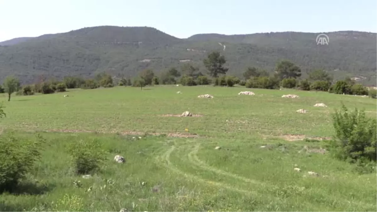 Yaban Domuzuna Karşı Güneş Enerjili Çit