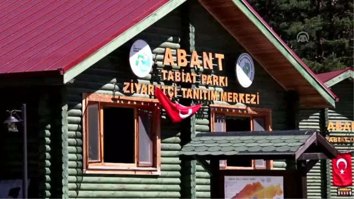 Abant\'ta Hafta Sonu Yoğunluğu