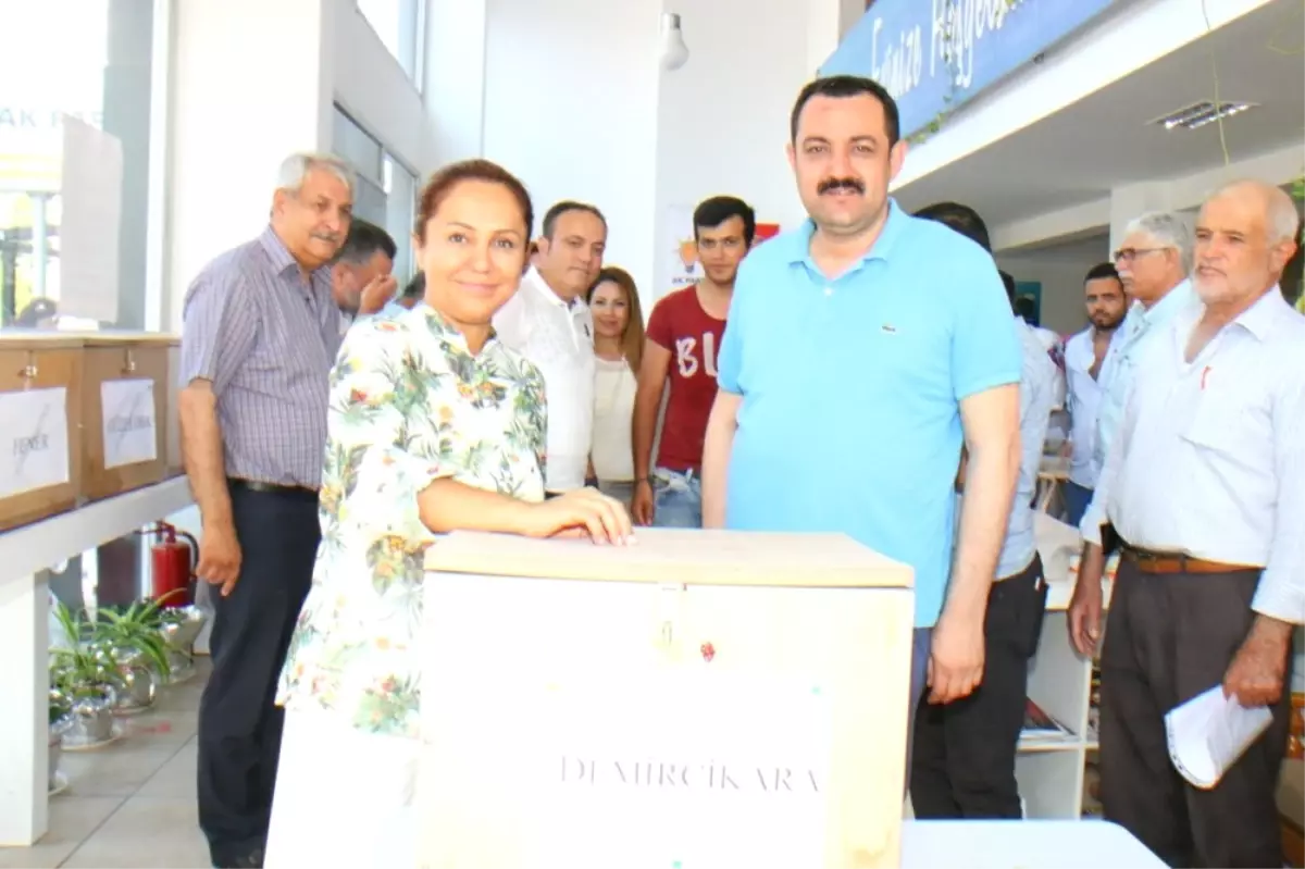 AK Parti Antalya Teşkilatında Delege Seçimleri Tamamlandı