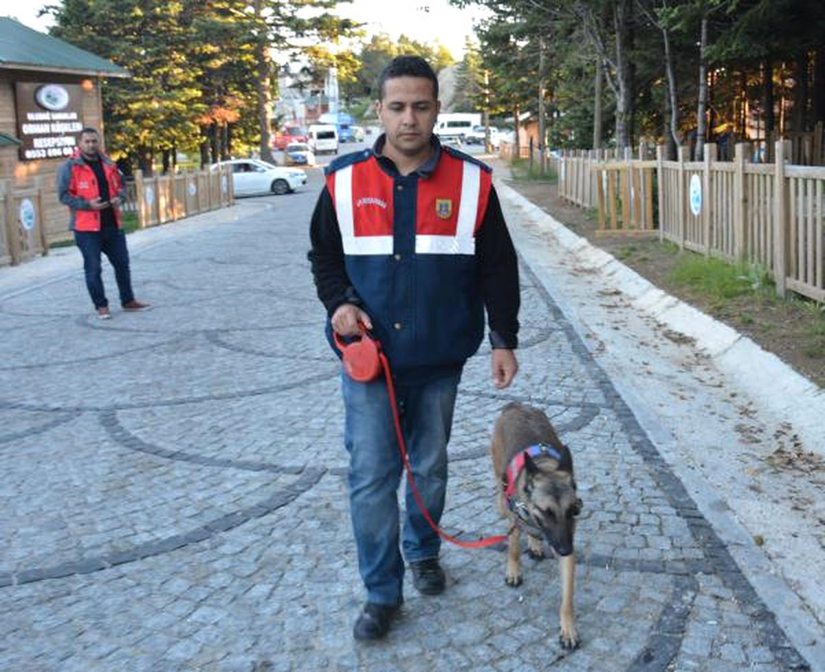 Ekipler, Uludağ\'da Kaybolan Katarlı Turist Çocuğu Bulmak İçin Seferber Oldu