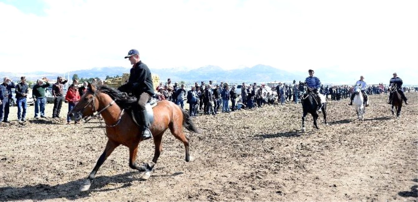 Erzurum Rahvan At Yarışları