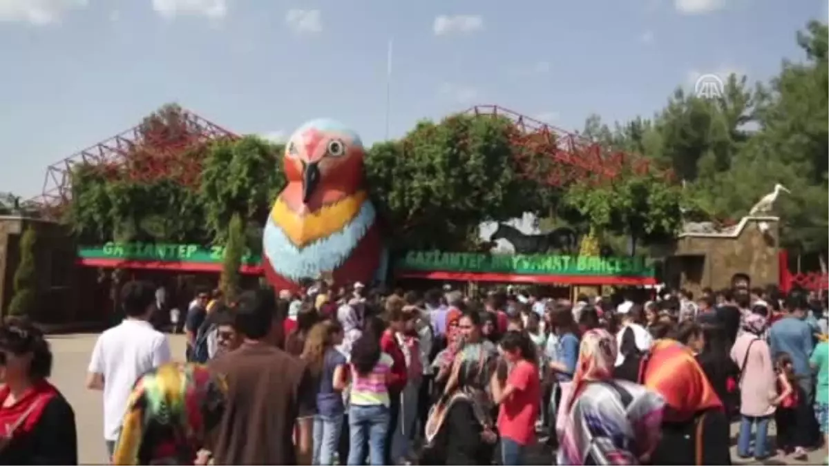 Gaziantep Hayvanat Bahçesinde Hafta Sonu Yoğunluğu