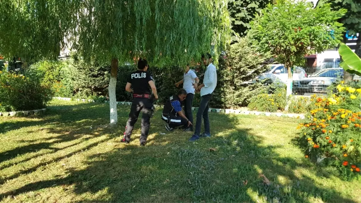 Güvenli Parklar İçin Polis Görevi Başında