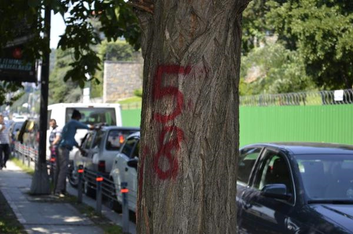 İbb\'den Aşiyan Parkı Açıklaması Açıklaması