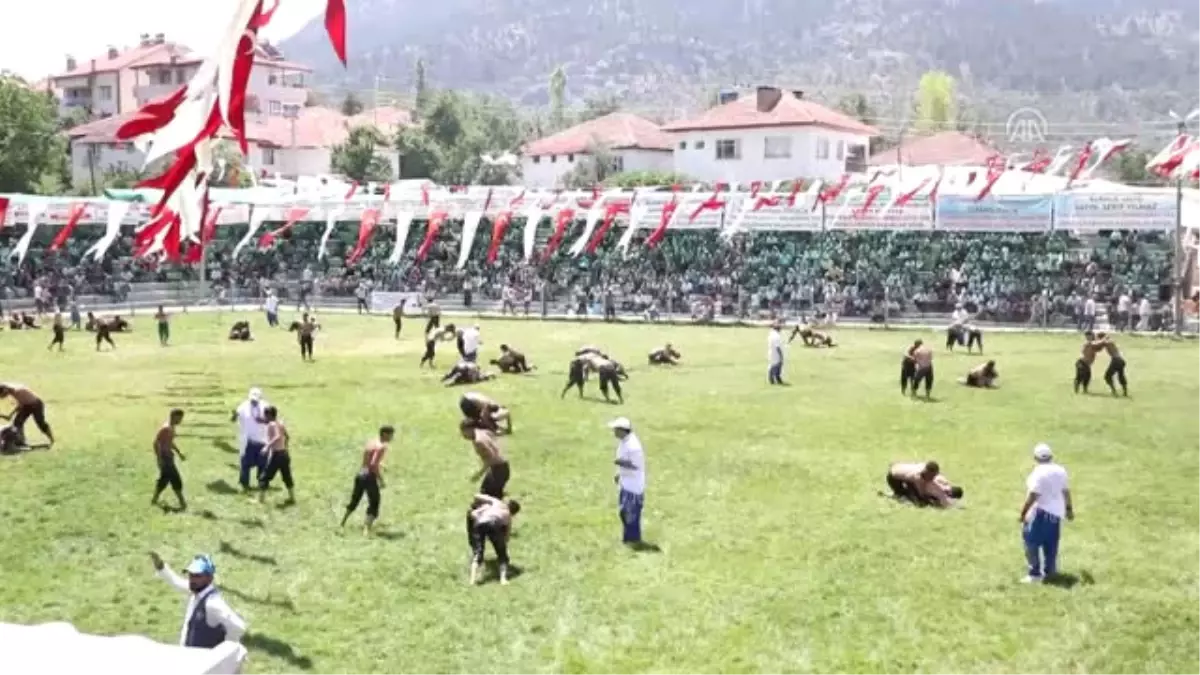 30. Altın Sipsi Yağlı Pehlivan Güreşleri