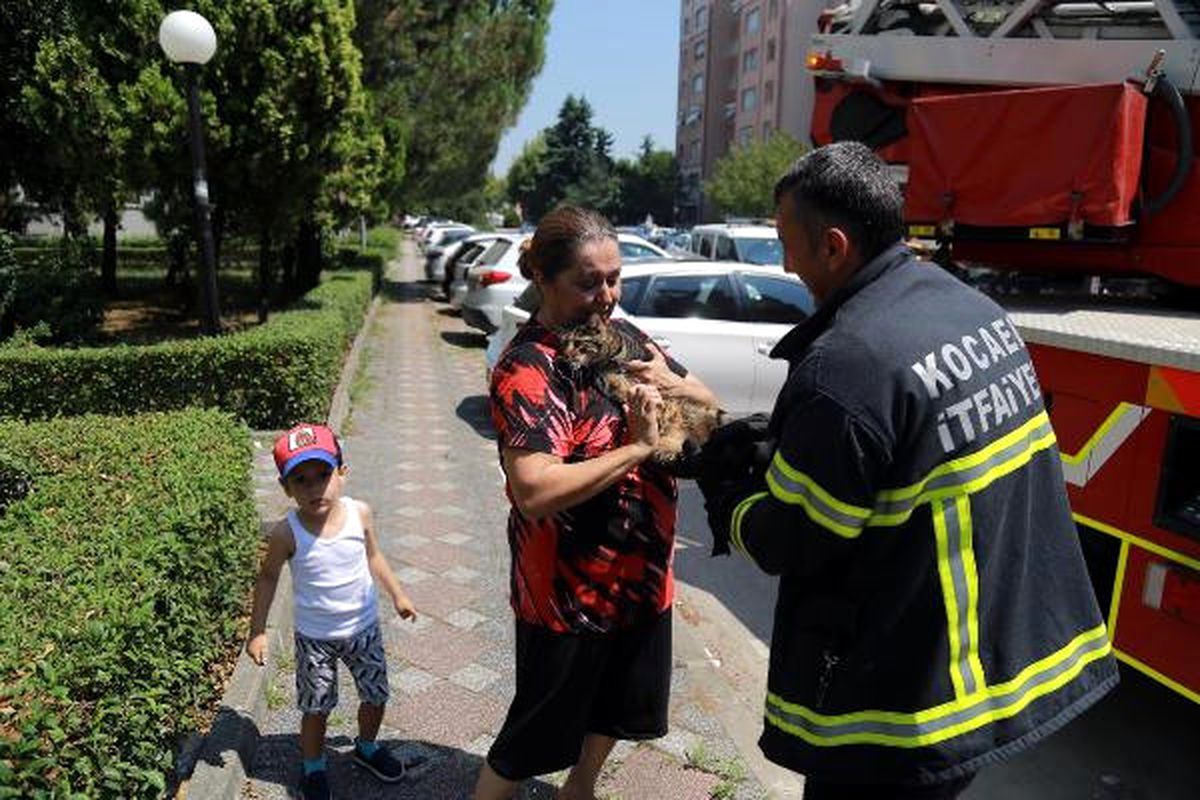 Balkonda Mahsur Kalan Kediyi İtfaiye Kurtardı