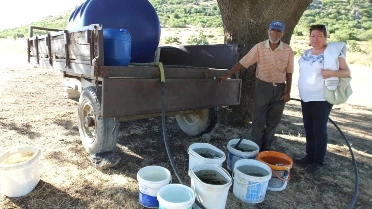 Çallı\'da Çoban Ahmet\'ten Su Sorununa Tankerli Çözüm