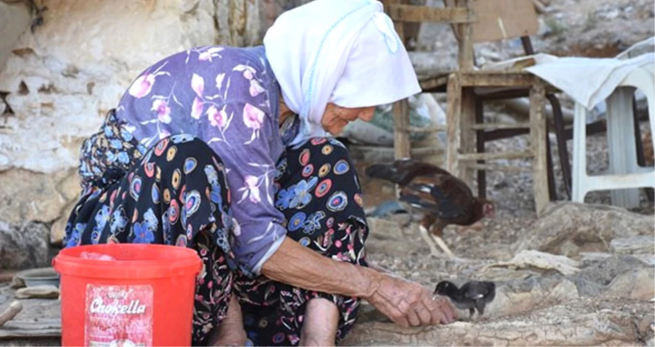 Depremde Yıkılan Evine Değil Ölen Civcivlerine Ağladı