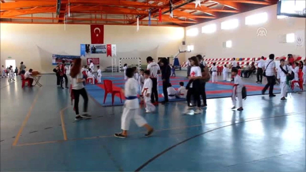 Hassa\'da Minikler Karate Turnuvası