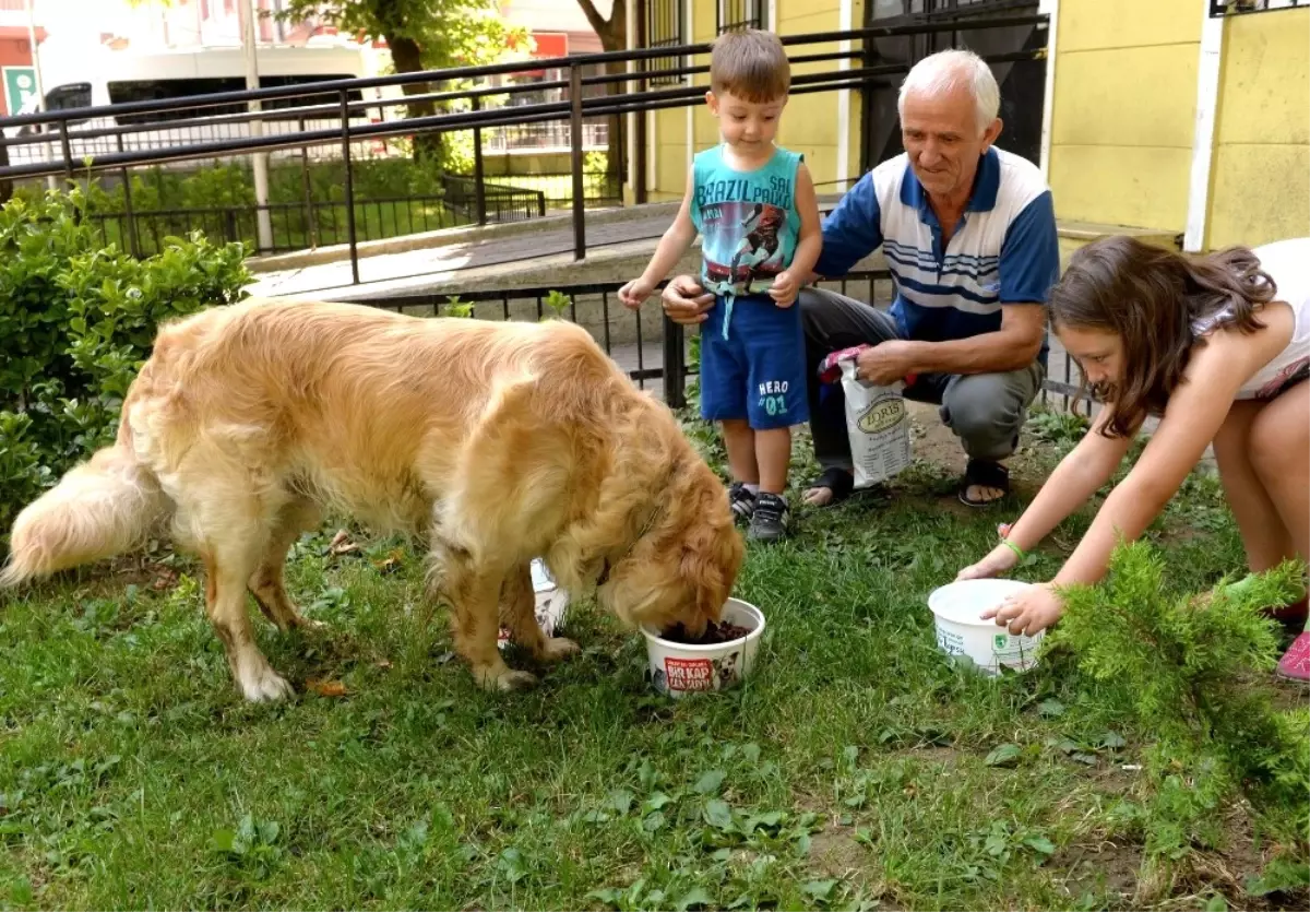 Can Dostlar İçin Her Köşeye Bir Kap Su