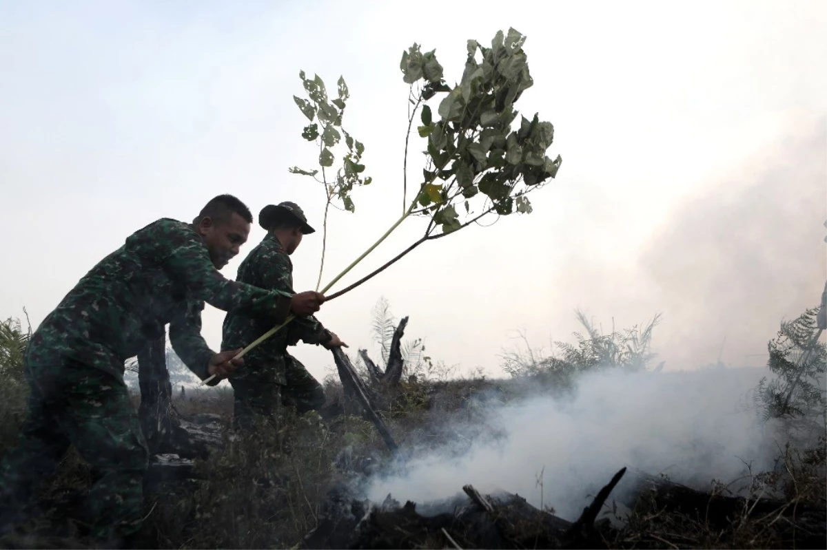 Endonezya\'da Orman Yangını