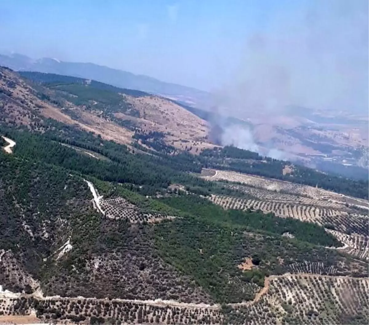 Hatay\'da Orman Yangını