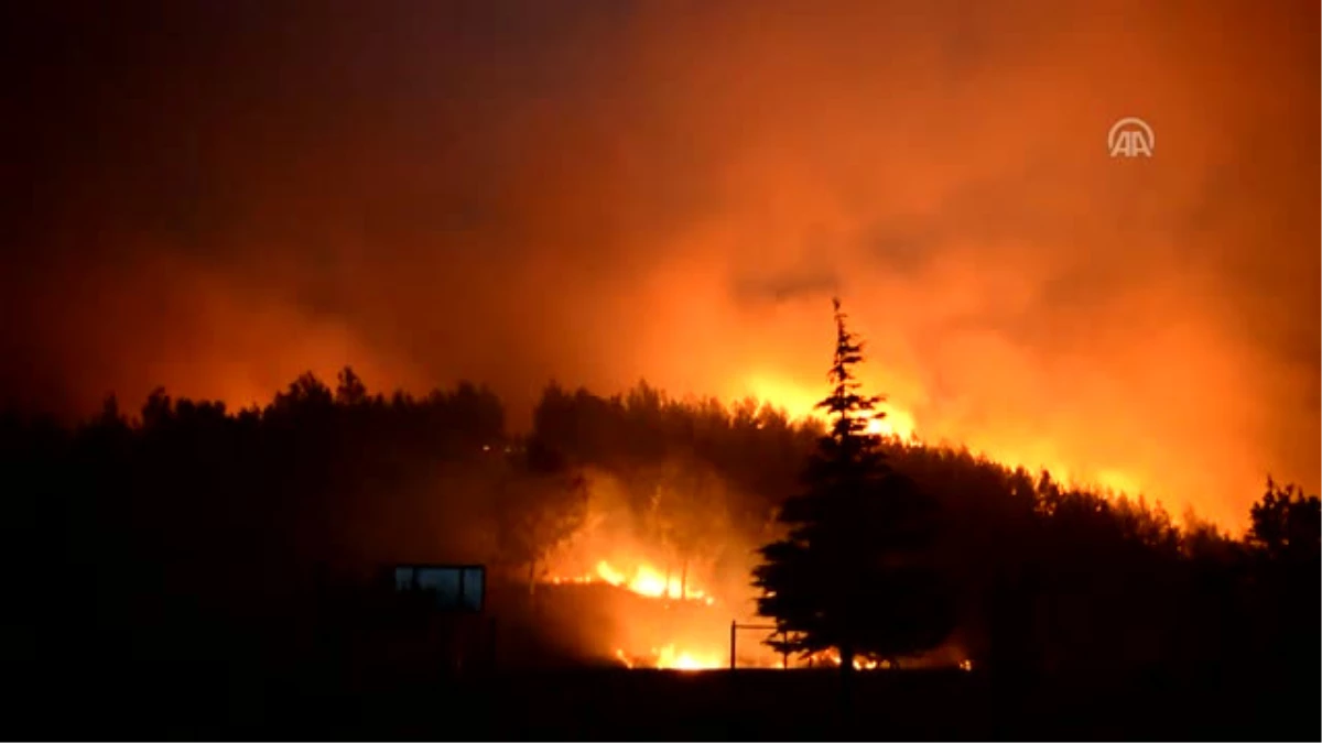 Izmir\'de Orman Yangını